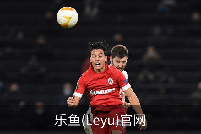 乐鱼(Leyu)官网公司介绍图